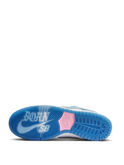 Nike sb dunk Low born raised