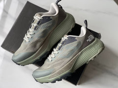 The North face Altamesa 500 trail Grey Green