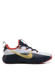 Nik_e LeBron ROYALTY TR 1 TEAM USA fix