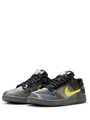 nikee dunk low hyperflat multi color FIX